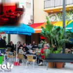Parrots Sitges