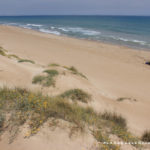 Playa nudista de la Devesa del Saler Valencia