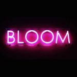 BLOOM Santiago - Galicia