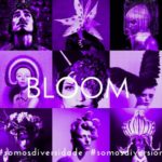 BLOOM Santiago - Galicia